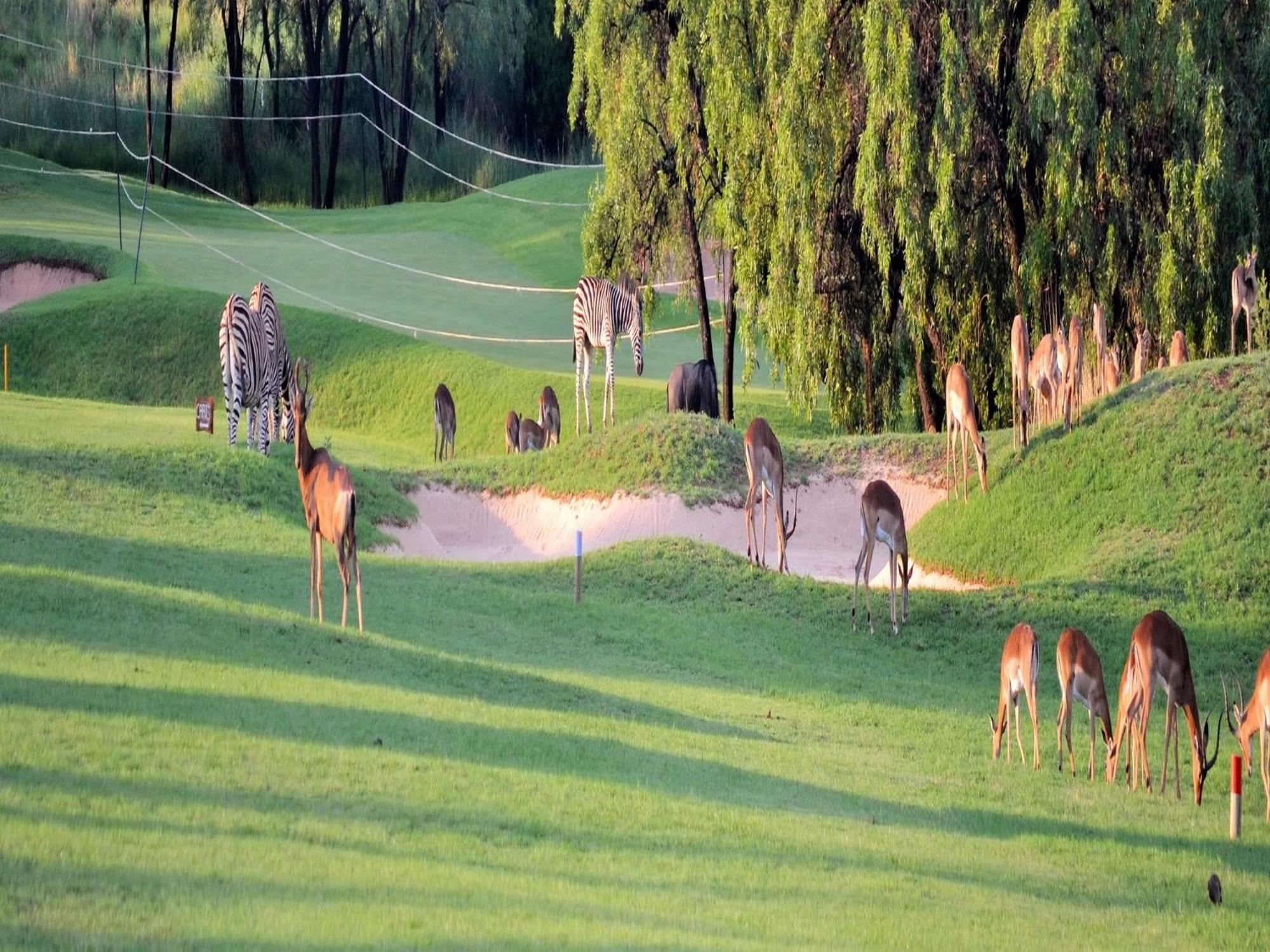 הוילה בלה-בלה Elements Private Golf Reserve מראה חיצוני תמונה